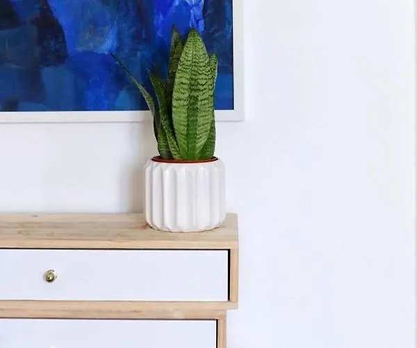 Volver 住宿加早餐酒店 4*